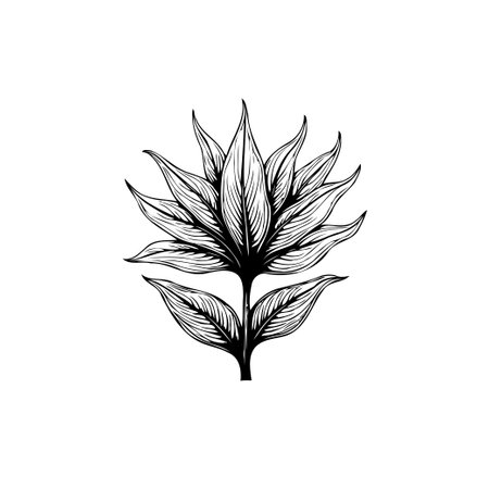 Elegant hand-drawn vector illustration of a stylized flower with detailed venation. Isolated on white background, perfect for designs.のイラスト素材