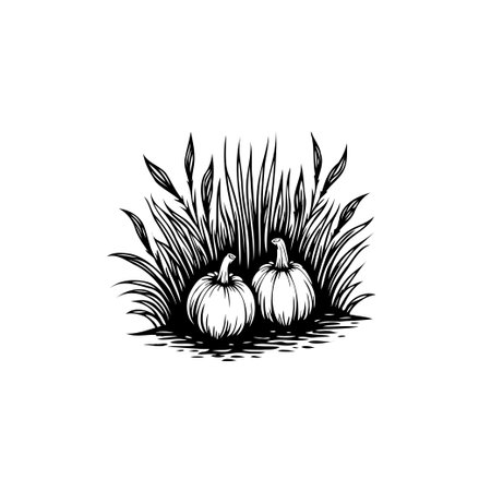 Two pumpkins nestled amidst tall grass are depicted in this minimalist black and white vector illustration, evoking harvest and autumnal themes.のイラスト素材