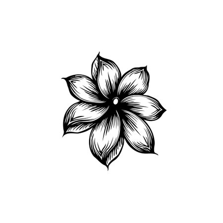 An elegant floral illustration, showcasing a single blossom with detailed linework. Perfect for adding a touch of natural beauty to various design projects.のイラスト素材