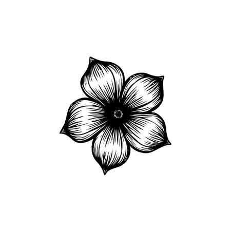 A delicate black and white illustration of a flower, perfect for botanical themes and artistic projects, conveying simplicity and natural beauty.のイラスト素材
