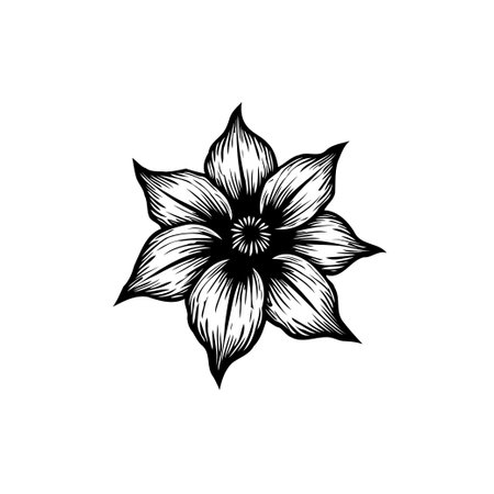 A detailed black and white floral drawing showcasing intricate line work and a minimalist style. Perfect for botanical illustrations or elegant design elements.のイラスト素材