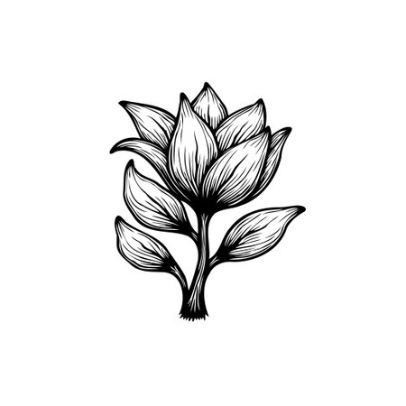 An elegant black and white botanical illustration showcases a blooming flower bud. The detailed lines create a visually appealing and artistic design.のイラスト素材