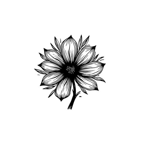 A sophisticated black and white flower illustration on a clean white backdrop. It features simple lines and a minimalist aesthetic, perfect for adding an elegant touch to any design.のイラスト素材