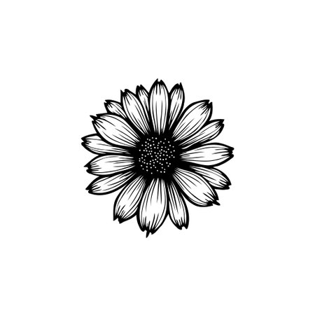 A detailed black and white line art illustration of a single daisy flower. Perfect for botanical designs, logos, and artistic projects.のイラスト素材