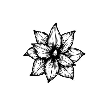 A monochrome floral illustration showcasing delicate botanical artistry, perfect for diverse creative designs. The elegant drawing captures the beauty of nature in a simple, artistic style.のイラスト素材
