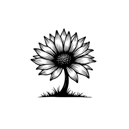 A detailed black and white vector illustration of a sunflower. Perfect for botanical illustrations, logos, or decorative floral designs. Its monochrome elegance and intricate details capture the beauty of nature.のイラスト素材