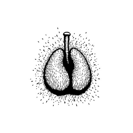 A monochrome stylized drawing of lungs with radiating sparks, symbolizing respiratory health and vitality. It's an anatomical depiction with a graphic, sketch-like quality.のイラスト素材