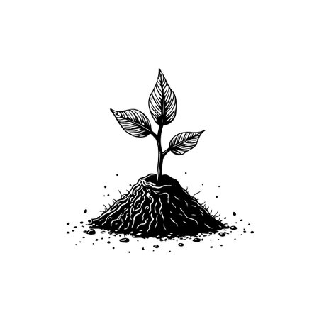 Black and white illustration of a young seedling emerging from the earth. The artwork represents themes of growth, new beginnings, and the vitality of nature.のイラスト素材