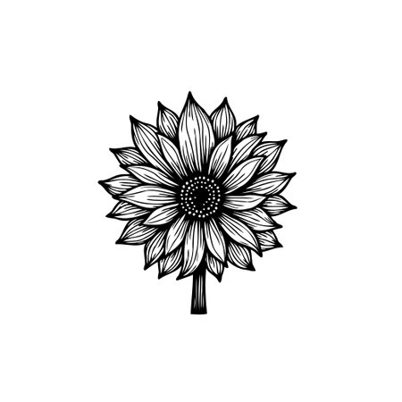 Elegant black and white illustration of a sunflower. Perfect for botanical designs, logos, or artistic projects, this vector graphic captures the beauty of nature in a minimalist style.のイラスト素材