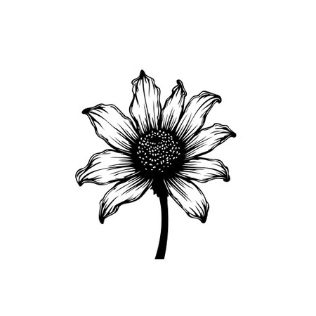 A beautiful black and white line art illustration of a sunflower. Perfect for designs needing a touch of nature's elegance and simplicity.のイラスト素材