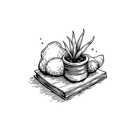 A black and white still life featuring a succulent plant in a pot, stones, and a book, evoking a sense of tranquility and harmony.のイラスト素材