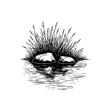 A monochrome illustration depicts rocks surrounded by water and reeds, capturing a serene and natural scene in a minimalist style.のイラスト素材