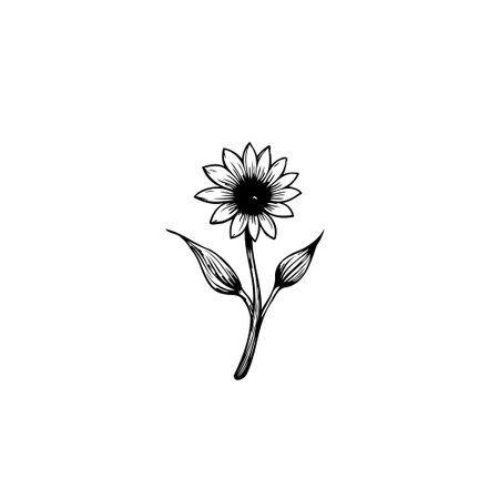 A minimalist botanical illustration featuring a sunflower. The design is clean and elegant, showcasing the beauty of nature in a simple yet detailed drawing.のイラスト素材
