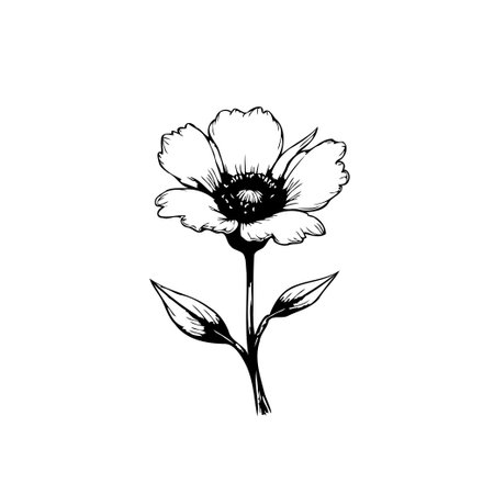 A detailed black and white illustration of a single flower, perfect for botanical studies, decorative elements, or minimalist designs.のイラスト素材