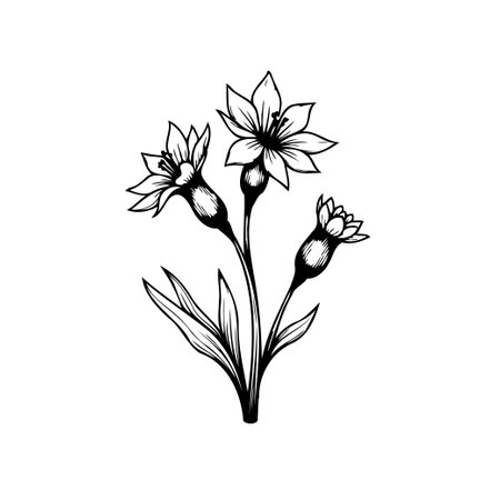 A black and white illustration showcases delicate flowers with simple lines, perfect for adding an elegant touch to any design.のイラスト素材