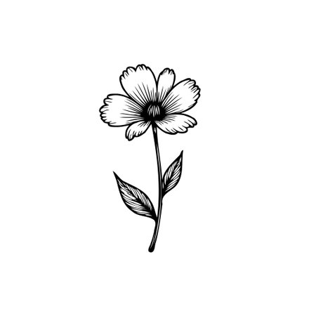 A minimalist single line art illustration of a daisy. Perfect for adding a touch of floral elegance to your design project. Black outline on a white background.のイラスト素材