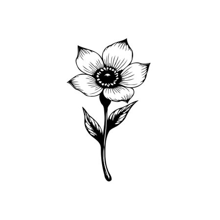 A simple yet elegant anemone flower line art design. Perfect for adding a touch of nature to any project.のイラスト素材