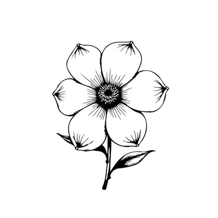 A beautiful and minimalist line art illustration of a flower. Perfect for adding a touch of nature and elegance to any design project.のイラスト素材