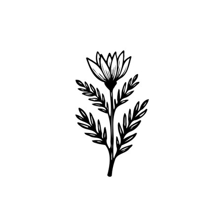 Detailed vector illustration of a floral element. Perfect for adding a touch of nature to your designs. Use it for prints, invitations, and more.のイラスト素材