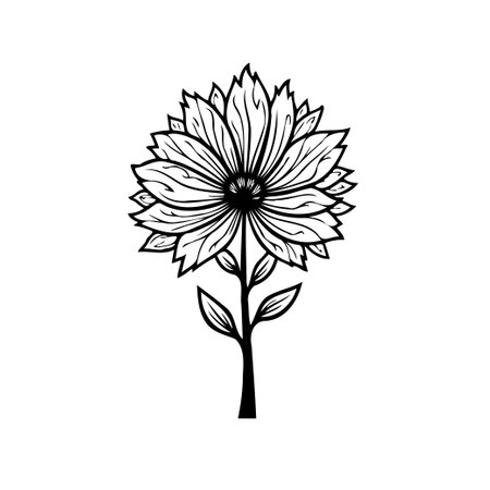 A delicate black and white illustration showcases a single sunflower blossom, emphasizing its elegant and artistic nature.のイラスト素材