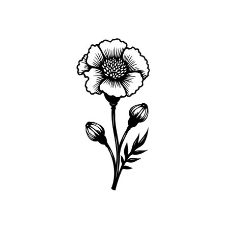 A delicate botanical illustration showcases a blooming flower with two buds. The design is rendered in elegant black lines, perfect for various creative projects.のイラスト素材