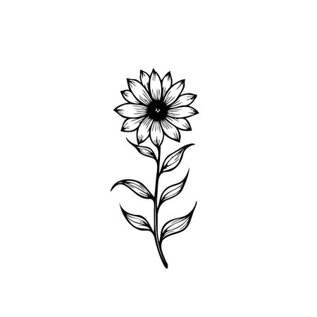 Delicate single sunflower line art illustration on a white background creating a beautiful and elegant design with botanical elements and organic aesthetic.のイラスト素材