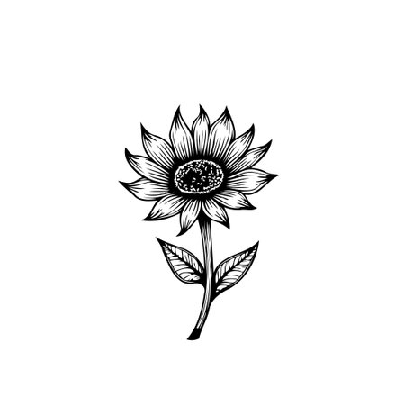 A detailed, monochrome sunflower illustration showcases botanical elegance. Perfect for designs needing a touch of nature and artistic charm. A simple yet sophisticated image.のイラスト素材