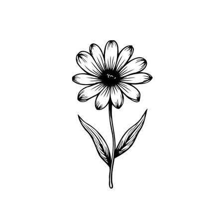 A minimalist daisy flower line art illustration, perfect for adding a touch of nature and elegance to your designs. Simple and beautiful botanical drawing.のイラスト素材