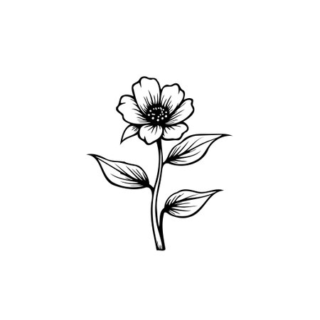 A beautifully rendered botanical illustration featuring a solitary flower with detailed leaves. The monochromatic design highlights the flower's elegant form and delicate structureのイラスト素材