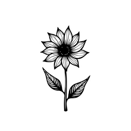 A timeless botanical illustration featuring a sunflower in elegant black and white line art. Perfect for nature-inspired designs and decorative projects.のイラスト素材