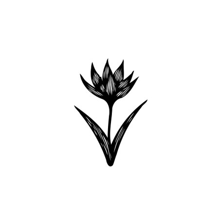 A detailed monochrome illustration of a flower, perfect for adding a touch of natural beauty to your projects.のイラスト素材