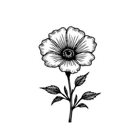A beautifully detailed monochrome drawing of a flower, perfect for botanical illustration or elegant graphic design projects. Simple yet elegant, isolated on white background.のイラスト素材