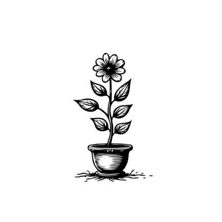 A monochrome vector illustration depicts a potted daisy flower with detailed shading, showcasing botanical elegance and artistic simplicity.のイラスト素材