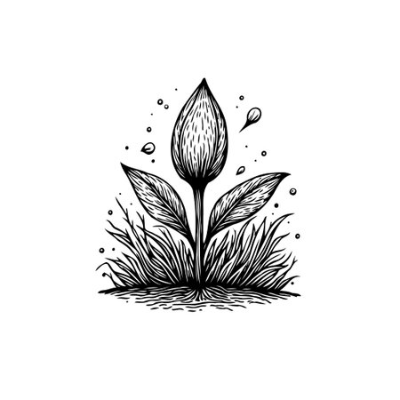 A minimalist drawing of a plant sprouting, symbolizing new beginnings and the growth of nature. The black and white design showcases simplicity and organic beauty.のイラスト素材