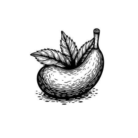 A vintage-style illustration of a banana, accented with lush leaves. The artwork features detailed hatching, creating a botanical and natural aesthetic, perfect for food or graphic design.のイラスト素材