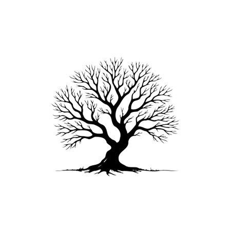 A striking silhouette of a deciduous tree with intricate branch patterns and bare branches against a white background, symbolizing nature's beauty and seasonal change.のイラスト素材