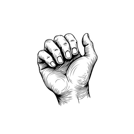 A detailed line art drawing of a clenched human hand, rendered in a vintage style. The illustration showcases the anatomy, gesture and contour of a hand.のイラスト素材