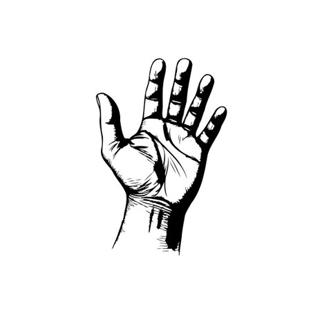 Detailed black and white illustration of a human hand, showcasing the palm, fingers, and anatomical...