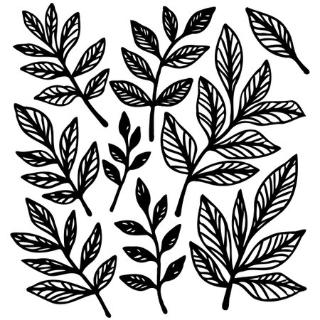 A collection of intricately drawn black and white leaves arranged to showcase botanical elegance. Perfect for designs needing a touch of organic simplicity.のイラスト素材
