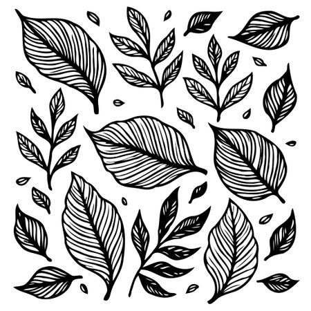 A beautiful hand-drawn illustration showcases detailed leaf venation. It features elegant leaves and branches, offering a natural and organic aesthetic perfect for various design projects.のイラスト素材