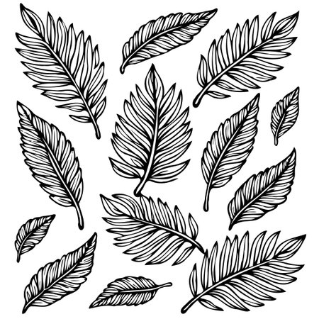 Collection of hand-drawn tropical leaves perfect for adding a natural and elegant touch to any design. Use these vector graphics for cards, invitations, and patterns.のイラスト素材