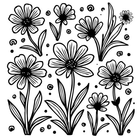Monochrome vector illustration featuring outlined daisy flowers and botanical elements, perfect for creating elegant and artistic designs.のイラスト素材