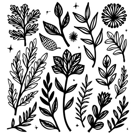 A collection of hand-drawn botanical vector elements, including leaves, branches, and floral designs. Ideal for creating natural and elegant illustrations and designs.のイラスト素材