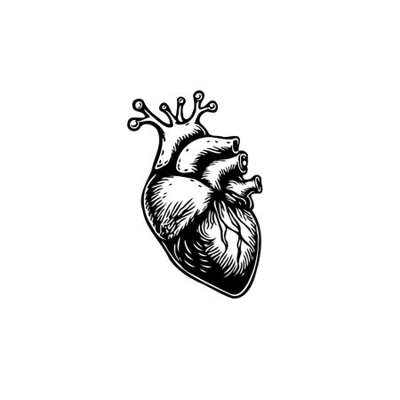 Detailed black and white anatomical heart illustration. Perfect for medical, educational or design projects. Showcasing intricate details of the human circulatory system.のイラスト素材