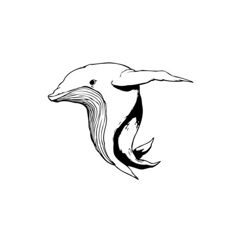 A simple and elegant whale illustration, perfect for adding a touch of nature and serenity to your design. Suitable for various creative projects.のイラスト素材
