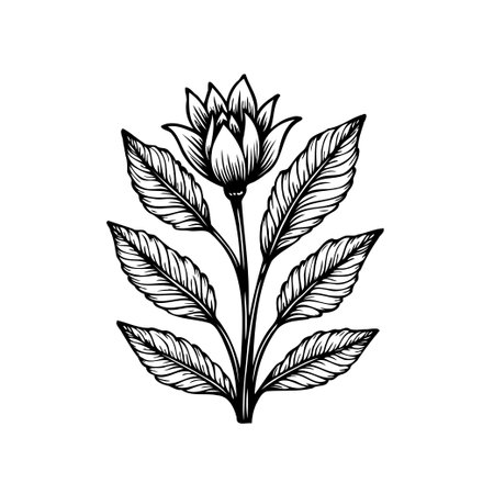 Beautiful botanical illustration of a flower with leaves, design isolated on a white background, a retro concept and a minimal vector graphic.のイラスト素材