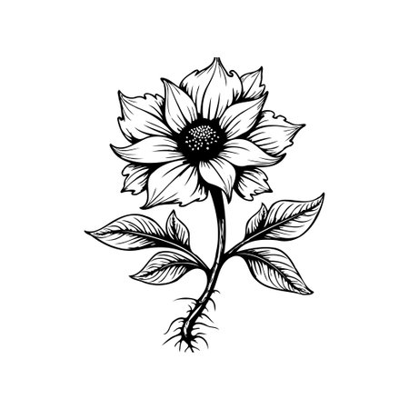 A beautiful black and white floral illustration showcasing a detailed flower. The image features intricate line work and a classic botanical style, perfect for various creative projects.のイラスト素材