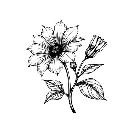 A hand-drawn botanical illustration featuring a single flower with a bud and leaves. The artwork is in black and white, highlighting the intricate details and elegant lines of the floral design.のイラスト素材