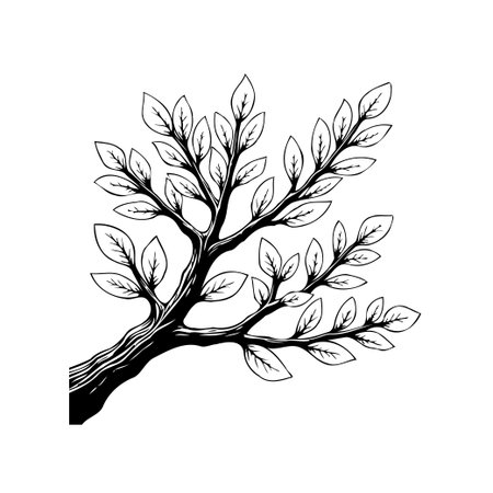 Elegant illustration of a tree branch adorned with leaves, rendered in monochrome. Ideal for nature-themed designs, botanical illustrations, or classic ornamental elements.のイラスト素材