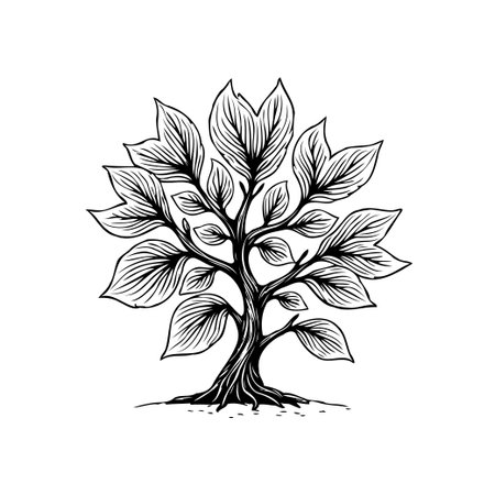 A detailed line art illustration showcases a flourishing tree with intricate leaves and branches. The artwork captures the essence of nature's growth and beauty, ideal for graphic design.のイラスト素材
